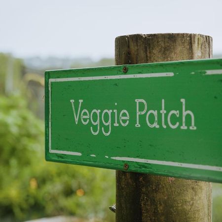 Blackwattle Farm Beerwah Bagian luar foto