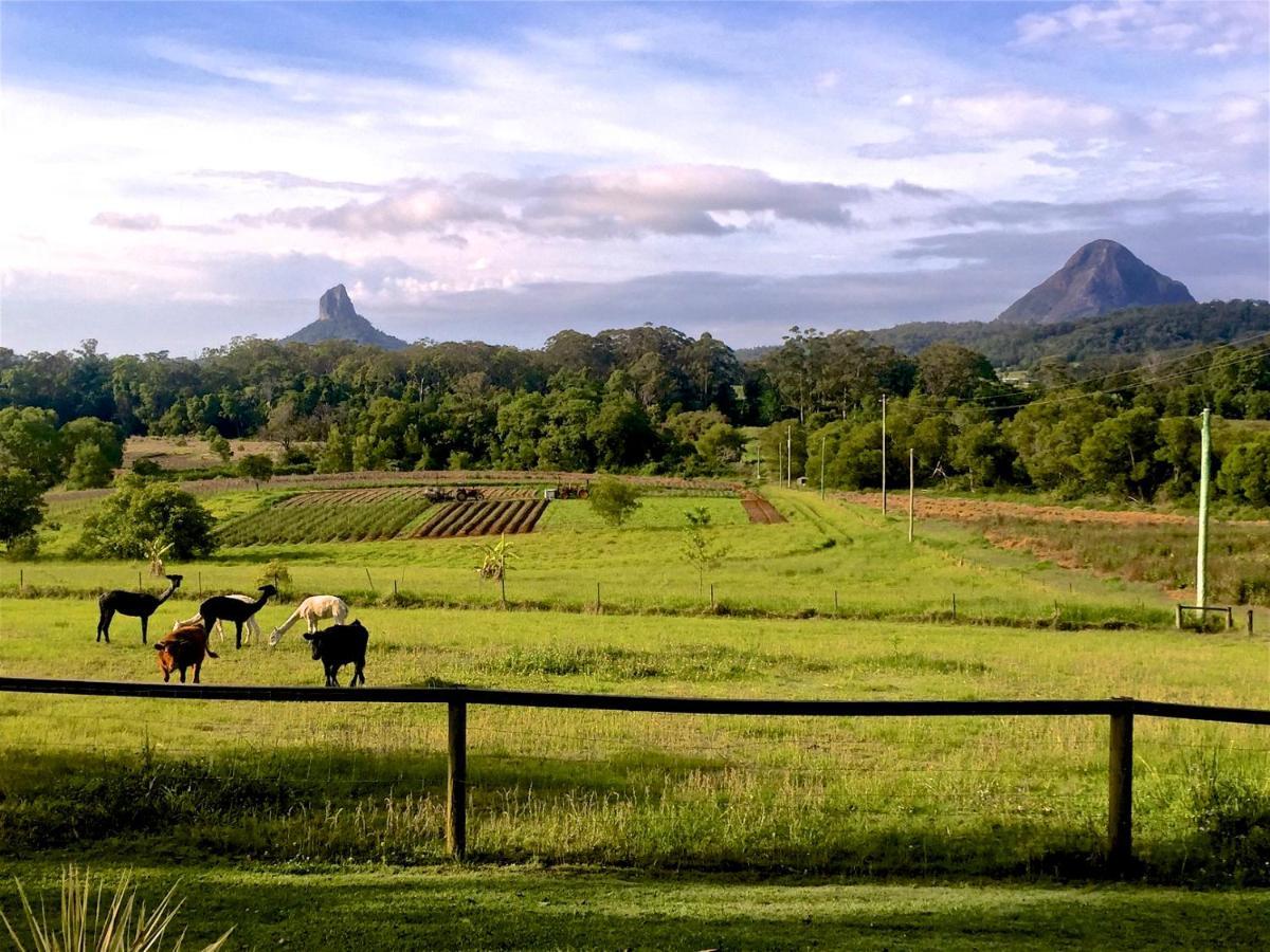 Blackwattle Farm Beerwah Ruang foto