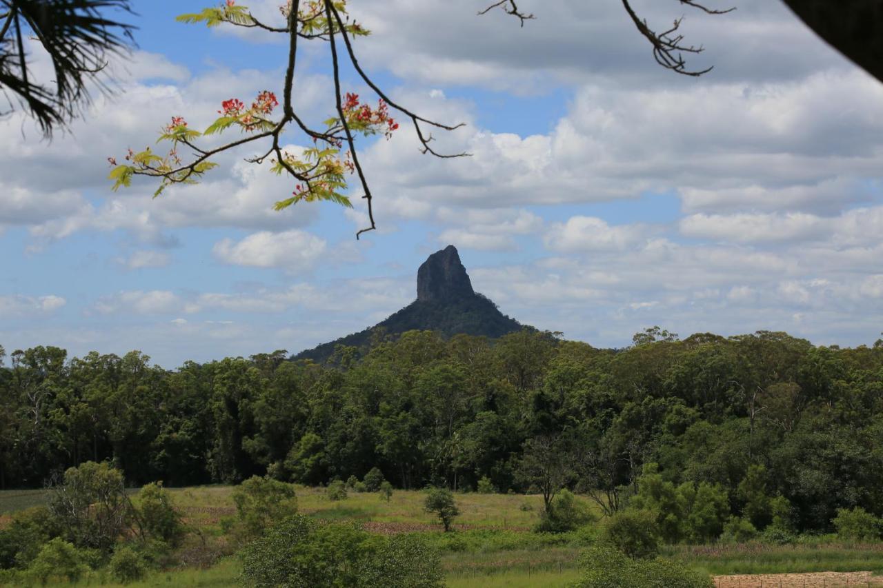 Blackwattle Farm Beerwah Ruang foto