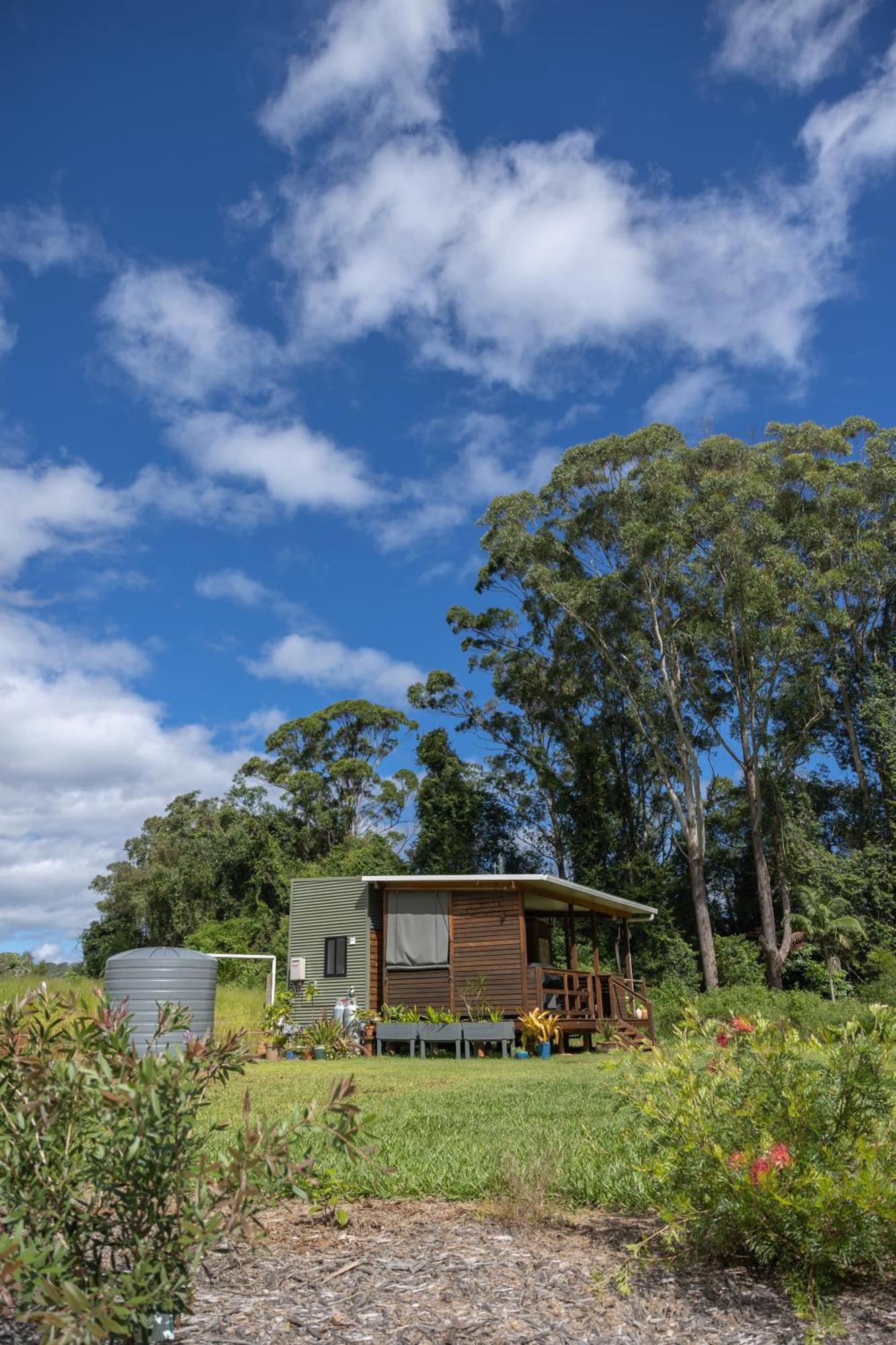 Blackwattle Farm Beerwah Ruang foto